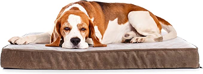 Milliard Quilted Padded Orthopedic Dog Bed