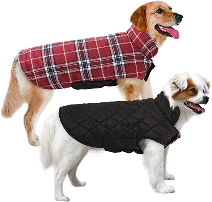 Dog Mid-weight Reversible Jacket
